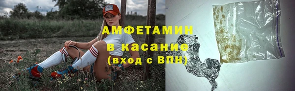 стафф Бородино
